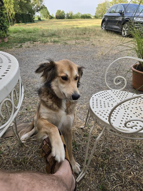 ✨ Maggie, la forza di chi non ha mai smesso di lottare ✨ Foto 11